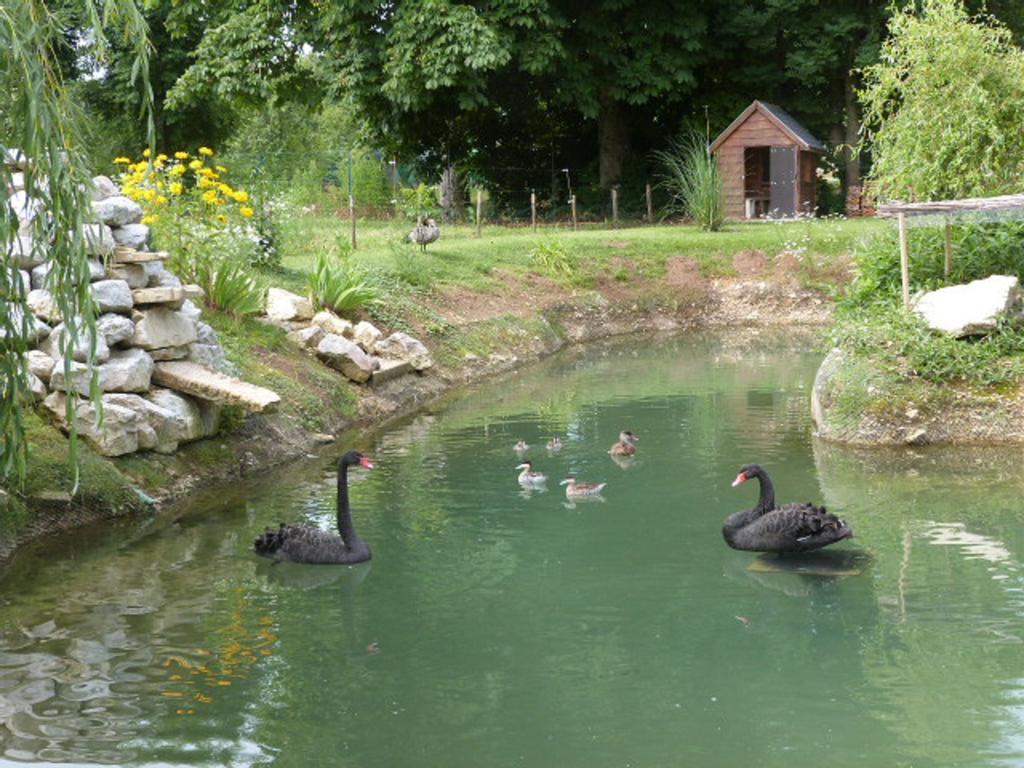 Le Bocard Villa Thonnance-lès-Joinville Kültér fotó
